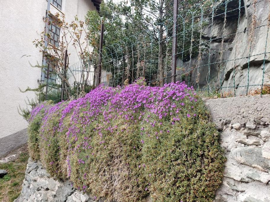 Ormea Nel Cuore Bagian luar foto